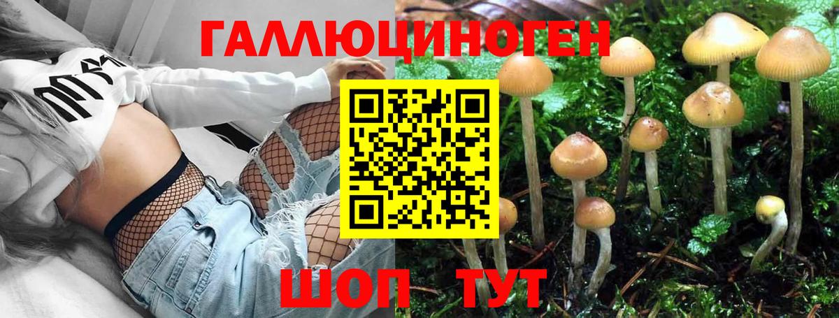 Псилоцибиновые грибы мицелий Красноярск